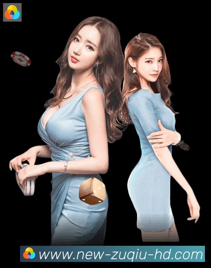 互动解说服务